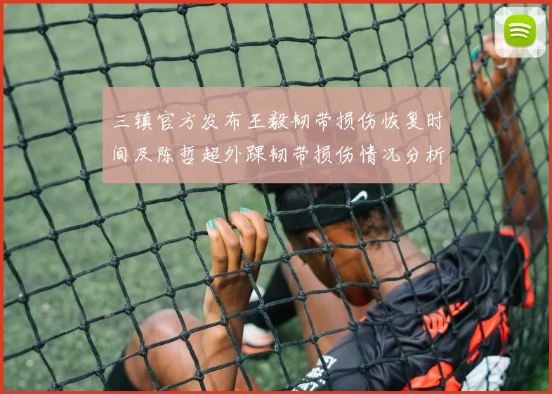 三镇官方发布王毅韧带损伤恢复时间及陈哲超外踝韧带损伤情况分析